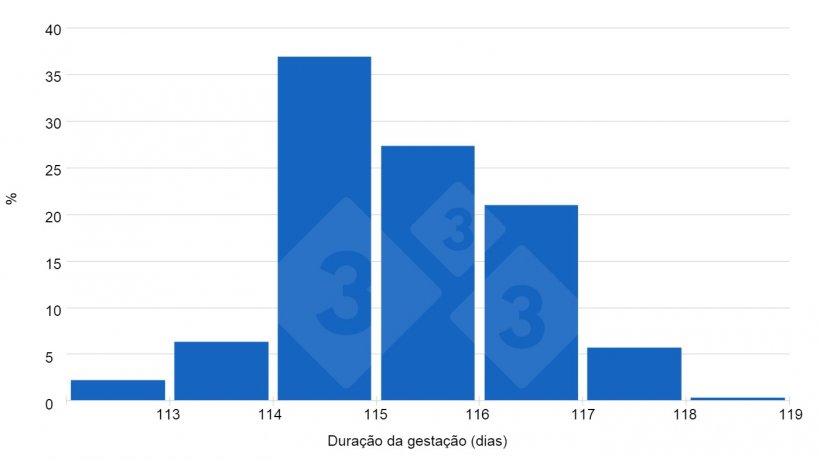Gráfico 1. As respostas dos usuários da 333 indicam uma tendência das gestações serem superiores a 115 dias.