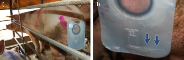 Refluxo