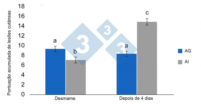 Figura 3. Mínimos quadrados médios e erros padrão da pontuação de lesão cumulativa em leitões desmamados previamente alojados em AG pré-desmame (alojamento em grupo) ou IA (alojamento individual). Diferenças significativas são indicadas com letras diferentes (p <0,05) (de Schrey et al., 2019).