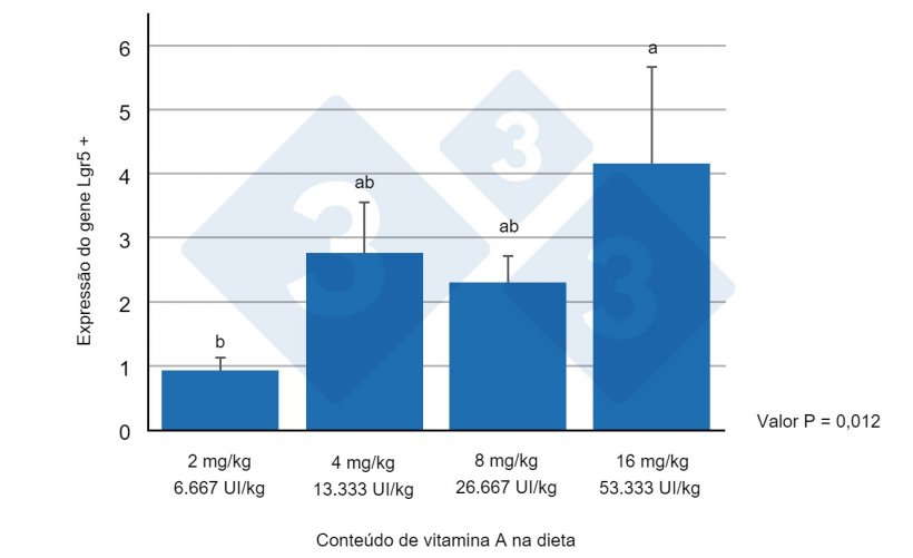 Figura 1. Expressão do gene Lgr5+ no jejuno de leitões desmamados, alimentados com diferentes níveis de vitamina A. Letras diferentes indicam diferenças estatisticamente significativas (p<0,05). Fonte: Wang et al. (2020).