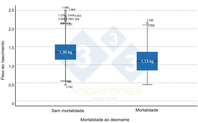 Gráfico 4. Peso médio ao nascer dos sobreviventes (“sem vítimas”) e peso médio ao nascer das vítimas. Diferenças altamente significativas entre os dois grupos (F=155,713; p<0,001) Fonte: Javier Lorente. Granja comercial, 3.483 leitões pesados individualmente 2021.