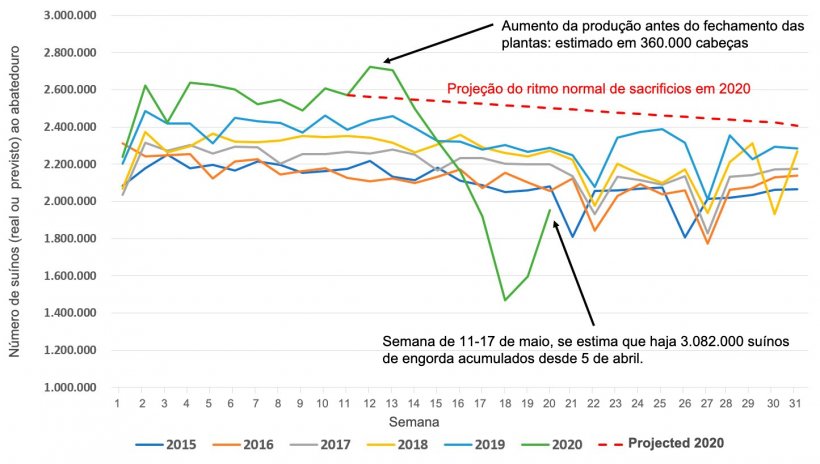 Figura 1. Número de animais abatidos nos abatedouros nos EUA por semana, de janeiro a julho de 2015 a 2020 ou abate esperado em circunstâncias normais (linha pontilhada vermelha). Fonte de dados: Pesquisa de abate do USDA NASS e AMS LM_HG201