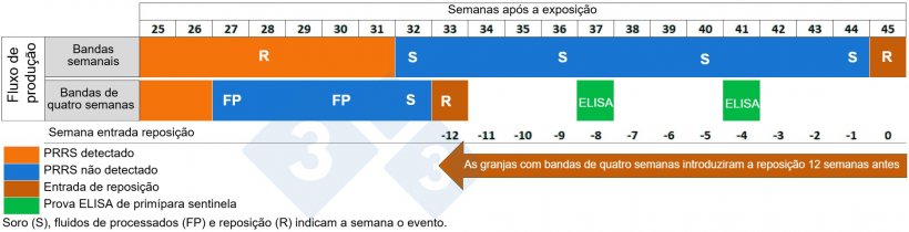 Figura 2. Comparação de insumos de reposição entre granjas com manejo em lotes semanais e bandas de quatro semanas.