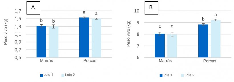 Figura 2. Peso ao nascer dos leitões (A) e ao desmame (dia 28 da lactação) (B) de marrãs e porcas alimentadas com no máximo 2,80 kg/dia (lote 1) e 4,20 kg/dia (lote 2) de ração durante os dias anteriores ao parto.